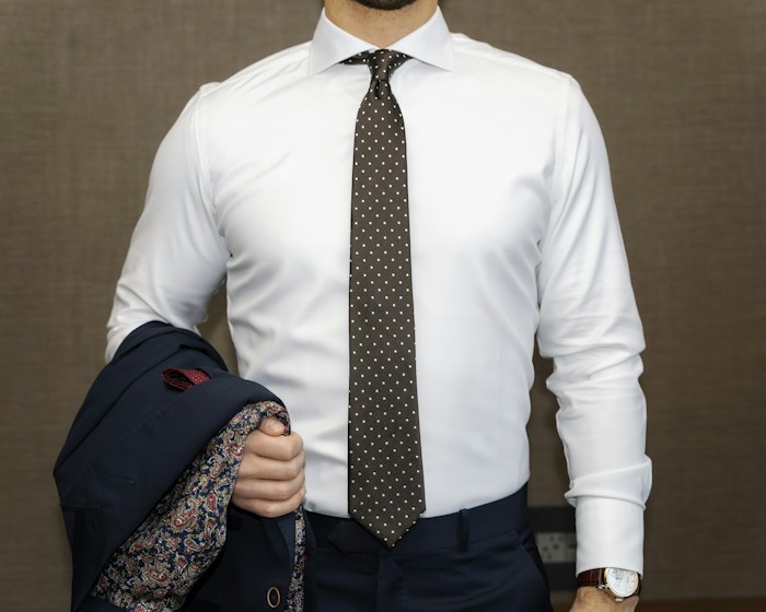 Camisa Linho Natural · imagem ilustrativa